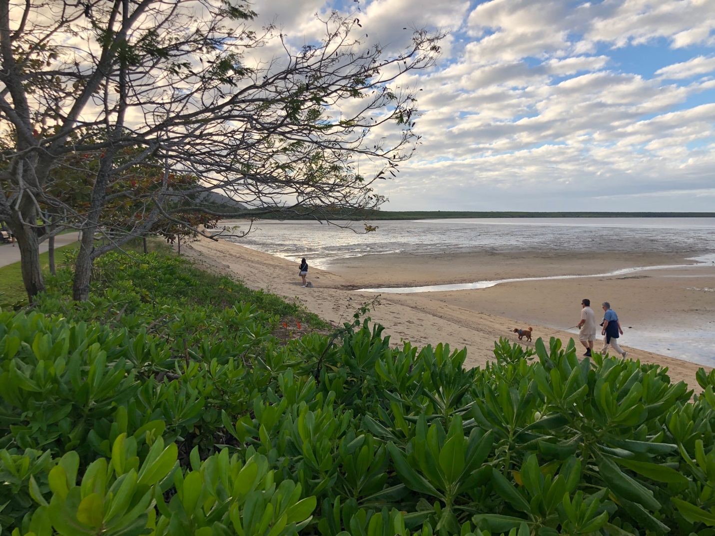 A body of water with trees and clouds in the sky
AI-generated content may be incorrect.